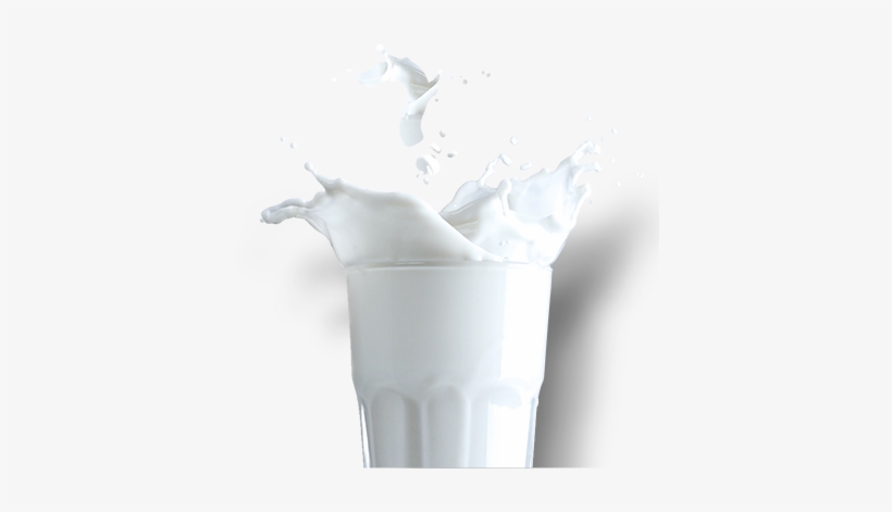 Milk - Milk Pngü, transparent png #123769