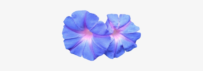 Vaporwave Png Pack - Blue Flowers Png Aesthetic, transparent png #123772