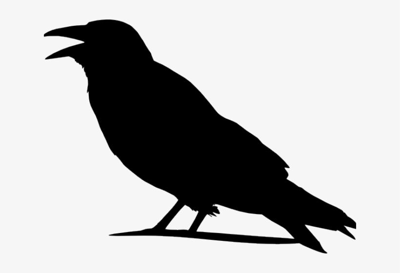 Crow Clipart Scary - Outline Images Of Crow, transparent png #123934