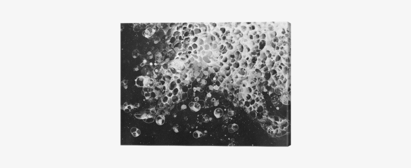 Bubbles Watercolor Black White Froth Canvas Print • - Watercolor Painting, transparent png #124027