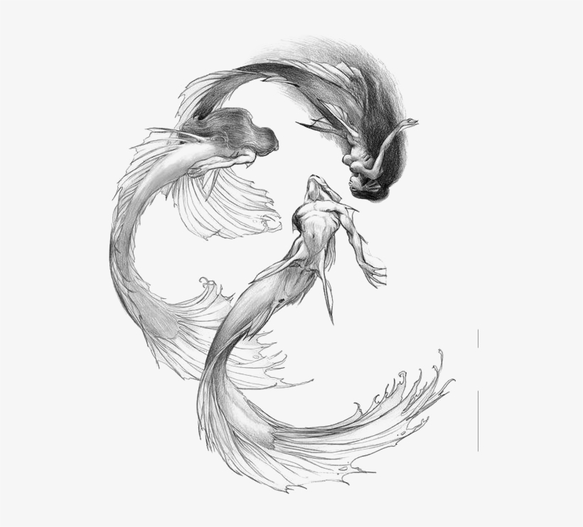 Siren Sketch Transprent Png - Siren Drawing, transparent png #124248