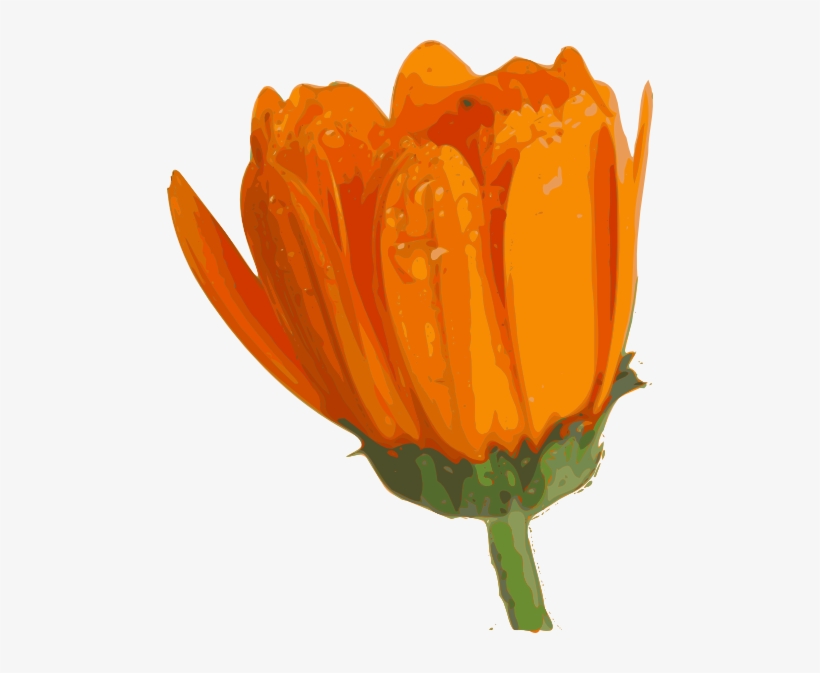 Flower Clip Art At Clker - Blooming Flower Clipart Transparent, transparent png #124249
