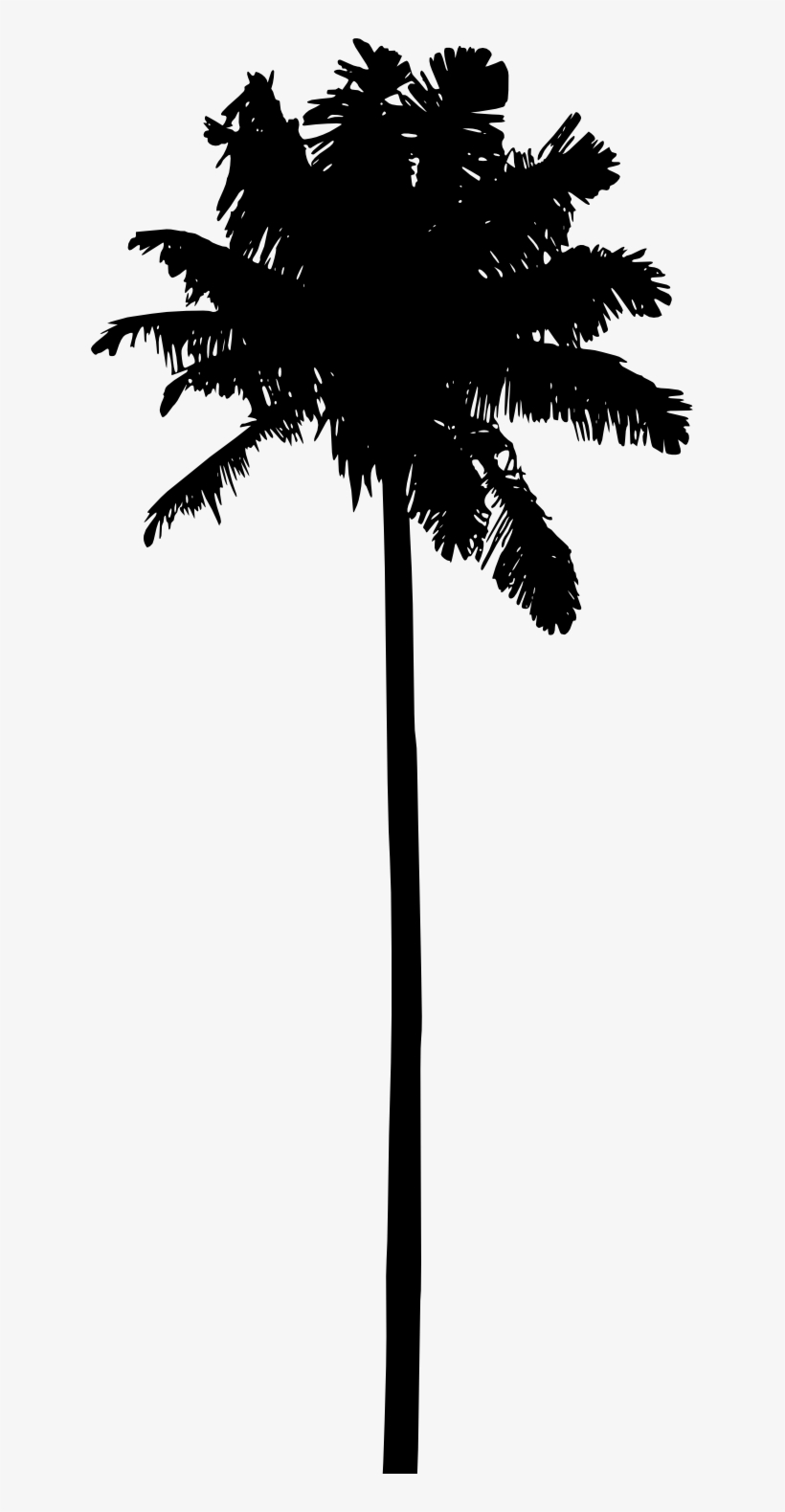 Free Png Palm Tree Silhouette Png Images Transparent - Palm Trees Silhouette Png, transparent png #124629