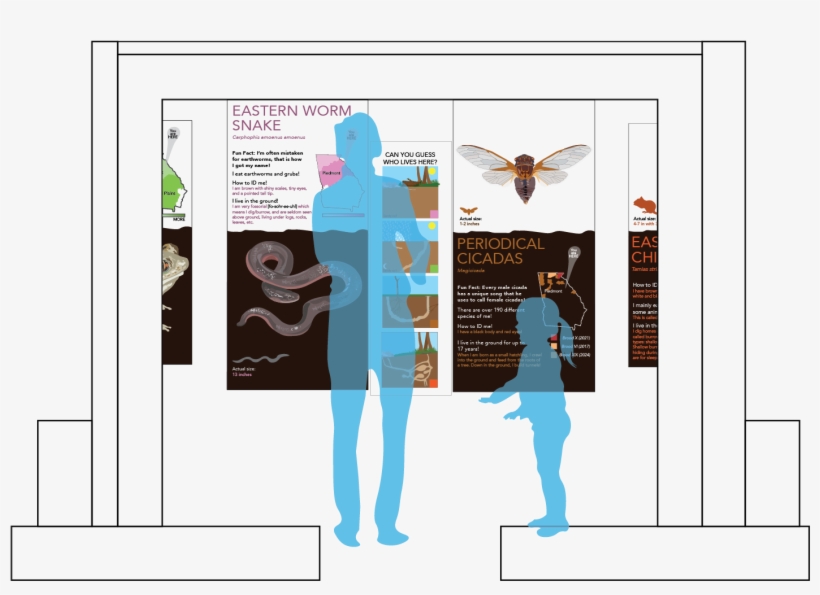 This Project Includes - Insect, transparent png #124831