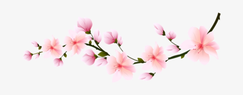 Flores Flor Bonita Rosa 5 Png - Transparent Cherry Blossom Branch, transparent png #125142