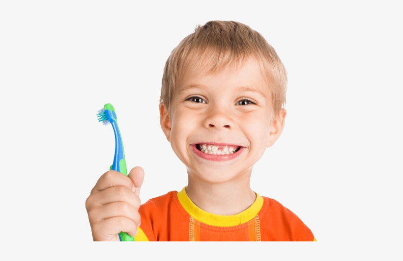 Children, Kids Png Image Without Background - Brush Your Teeth Every Day, transparent png #125273