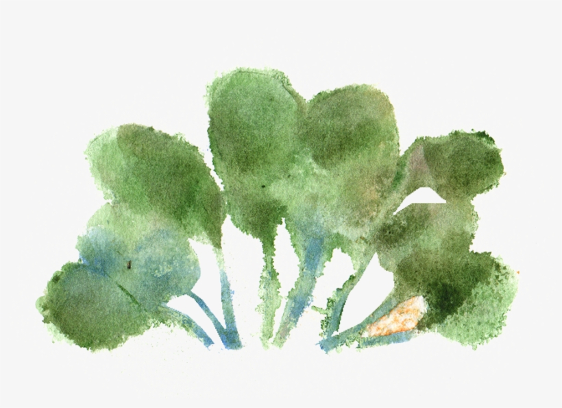 Doctor Salad - Start - Watercolor Paint, transparent png #126049