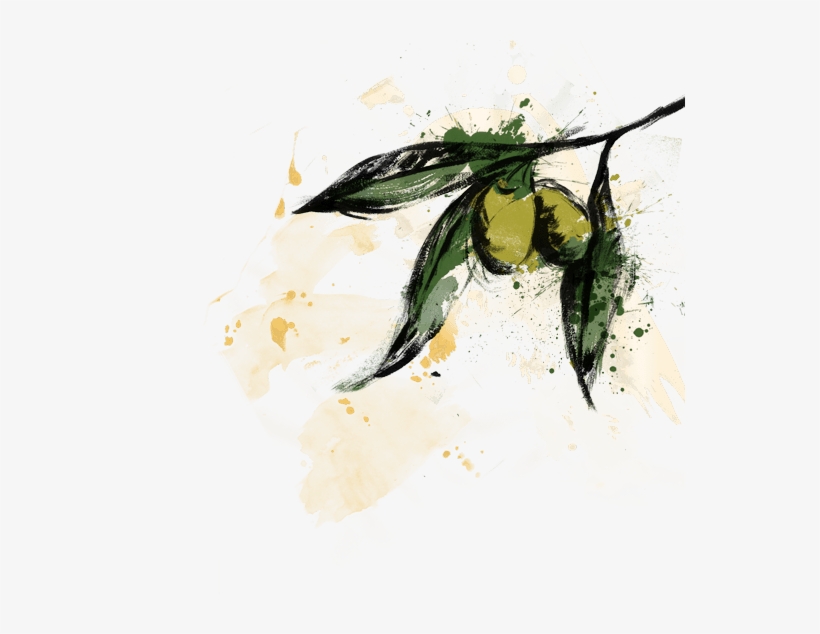 Olives - Portable Network Graphics, transparent png #126094