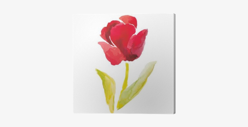 Red Tulip On The White Background - Watercolor Painting, transparent png #126134