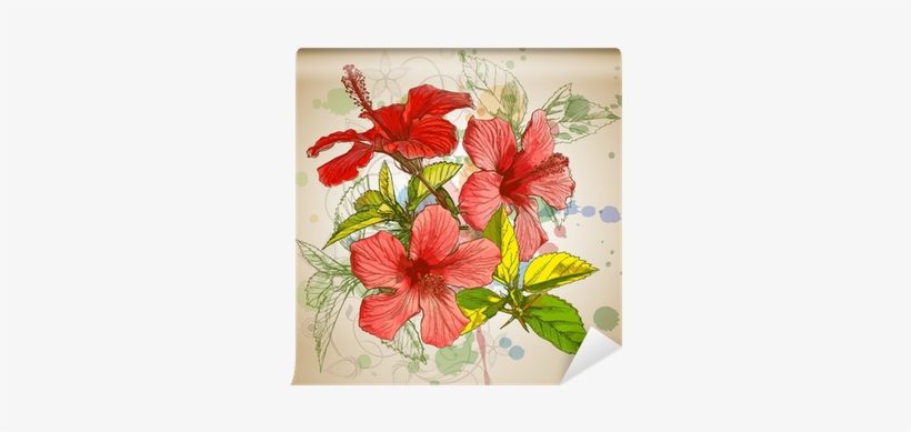 Hibiscus Flowers & Watercolor Background Wall Mural - Hibiscus Design Shower Curtain, transparent png #126316