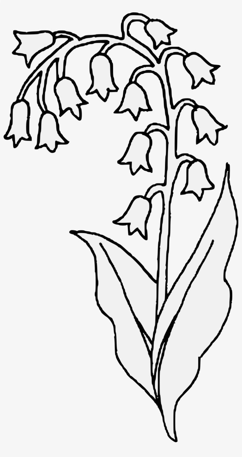 Lily Of The Valley Flower Drawing At Getdrawings - Lilies Of The Valley Clip Art, transparent png #126585