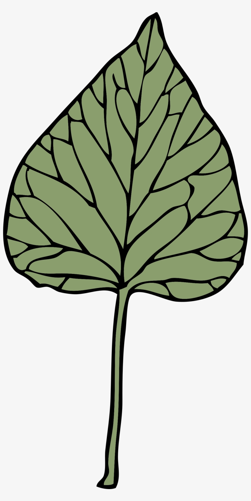 This Free Icons Png Design Of Ivy Leaf 6, transparent png #126744