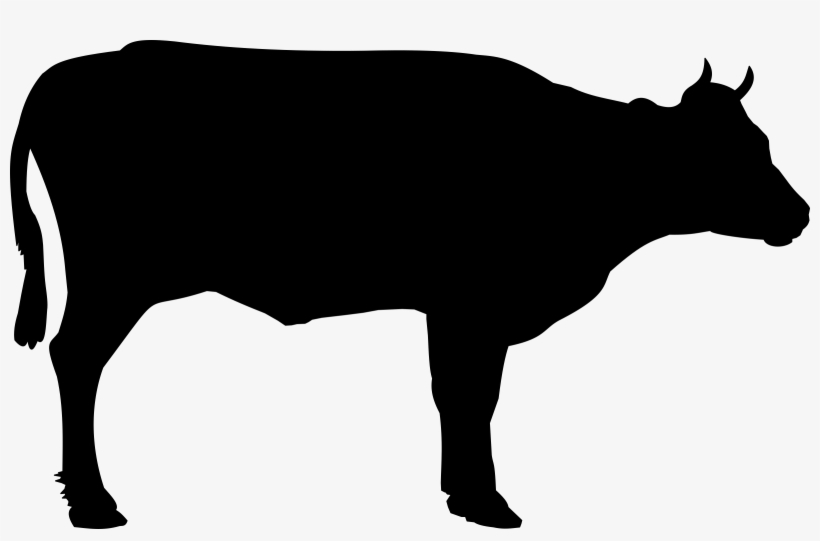 Bull Head Vector Png Picture - Black And White Cow Png, transparent png #126817
