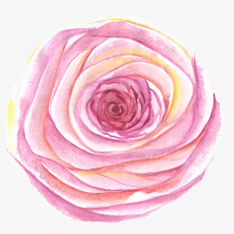 This Graphics Is Egg Yolk Transparent Decorative About - Garden Roses, transparent png #127372