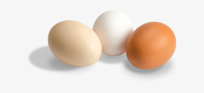 Eggs - - Egg, transparent png #127584