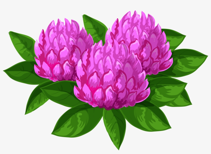 Vector Royalty Free Library Flowers Png Clip Art Image, transparent png #127727