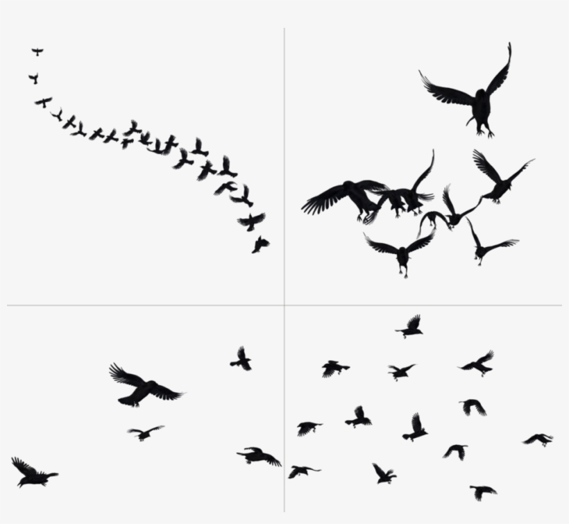 Crows In Flight Png Stock By Roy - Group Of Crows Png, transparent png #128026