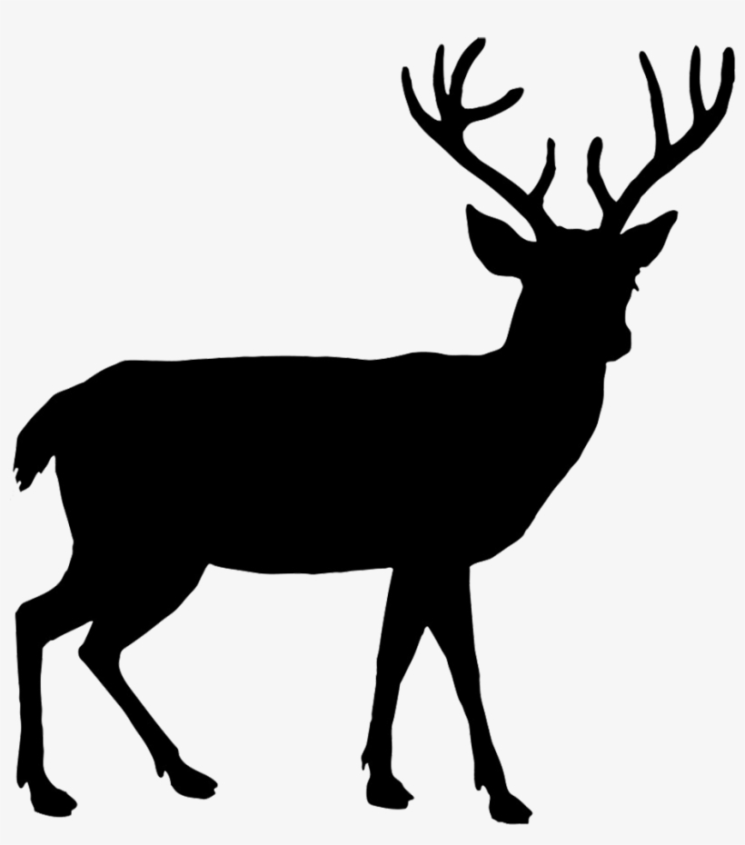 Deer Silhouette Png - Deer Silhouette, transparent png #128130