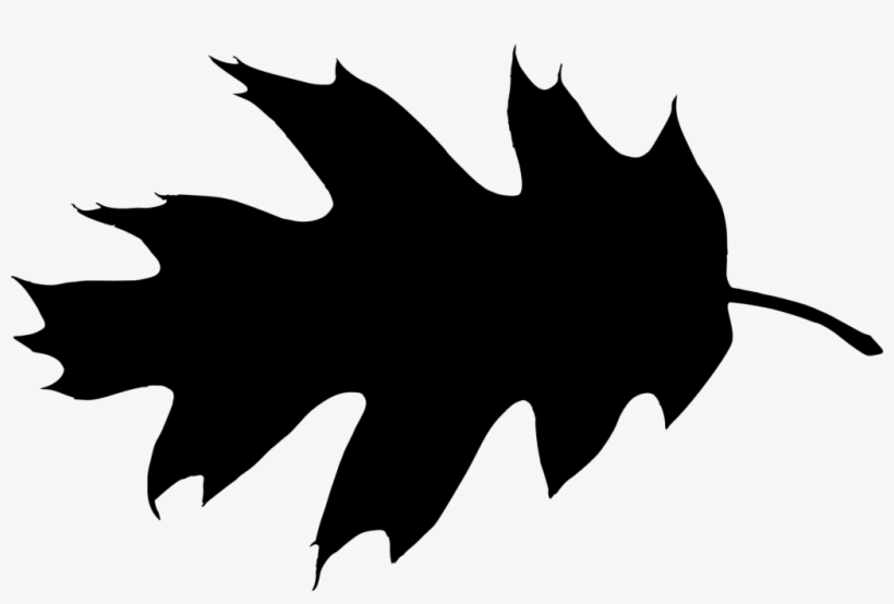 Png File Size - Leaf Silhouette, transparent png #128204