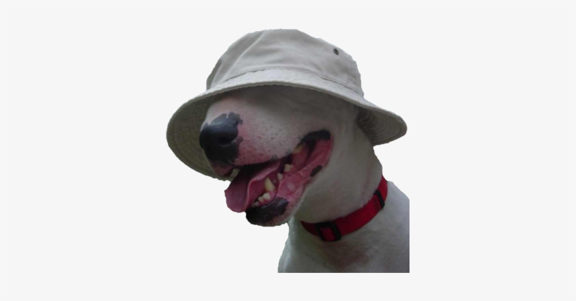 My Edit - Yung Lean, transparent png #128297