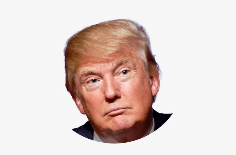 Trump - Logan Paul Looking Like Trump, transparent png #128970