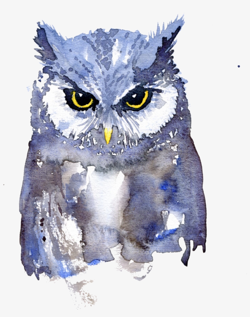 Report Abuse - Watercolor Owl Art, transparent png #129087