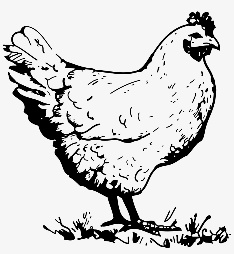 Chicken Clipart Black And White, transparent png #129119