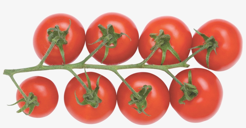 Download, transparent png #129141