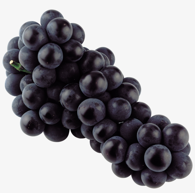 Black Grape Png Image - Black Grapes Png, transparent png #129167