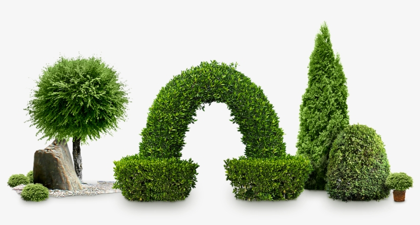 Bushes Png Image Without Background, transparent png #129579