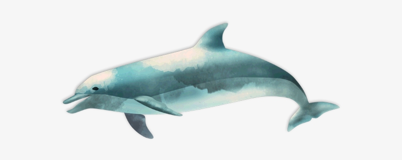 Download Png Image Report - Ocean Fish Png, transparent png #129730