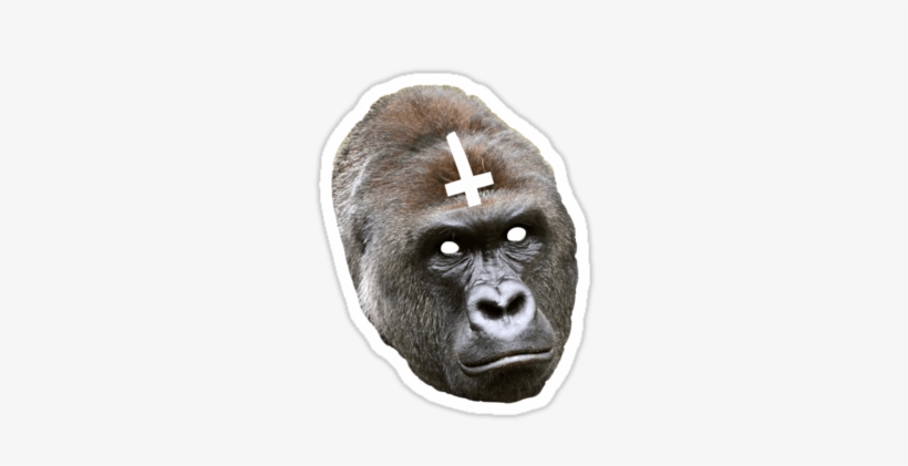 Memes - Transparent Harambe, transparent png #129731