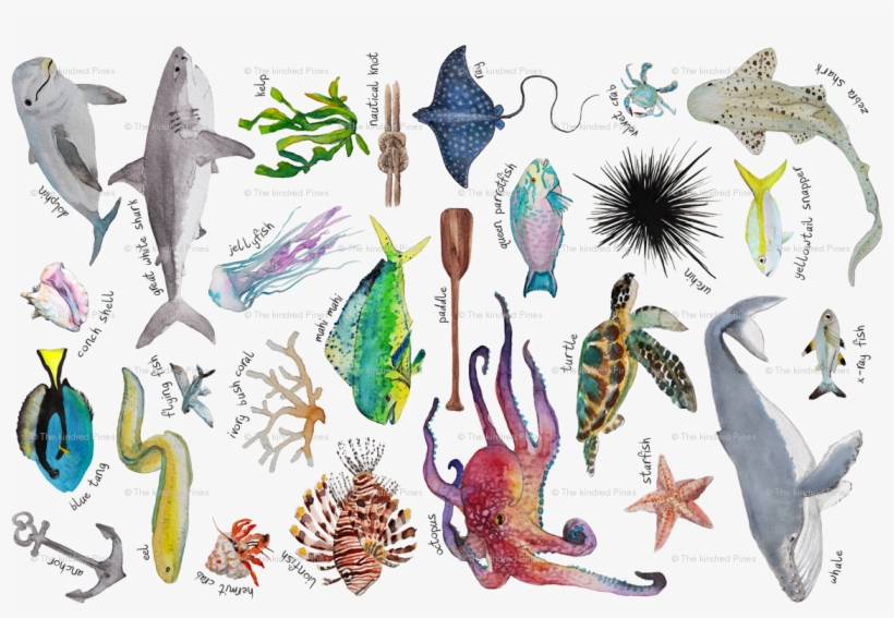 Under The Sea Alphabet Wallpaper - Sea, transparent png #1200068