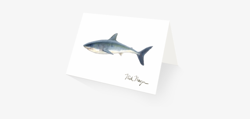 Great White Shark, transparent png #1200183