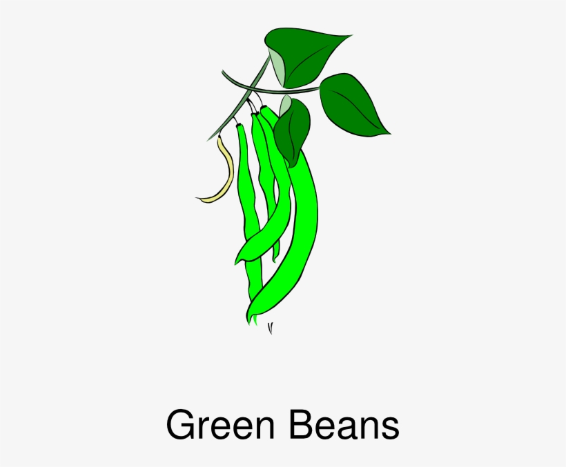 How To Set Use Green Beans Clipart.