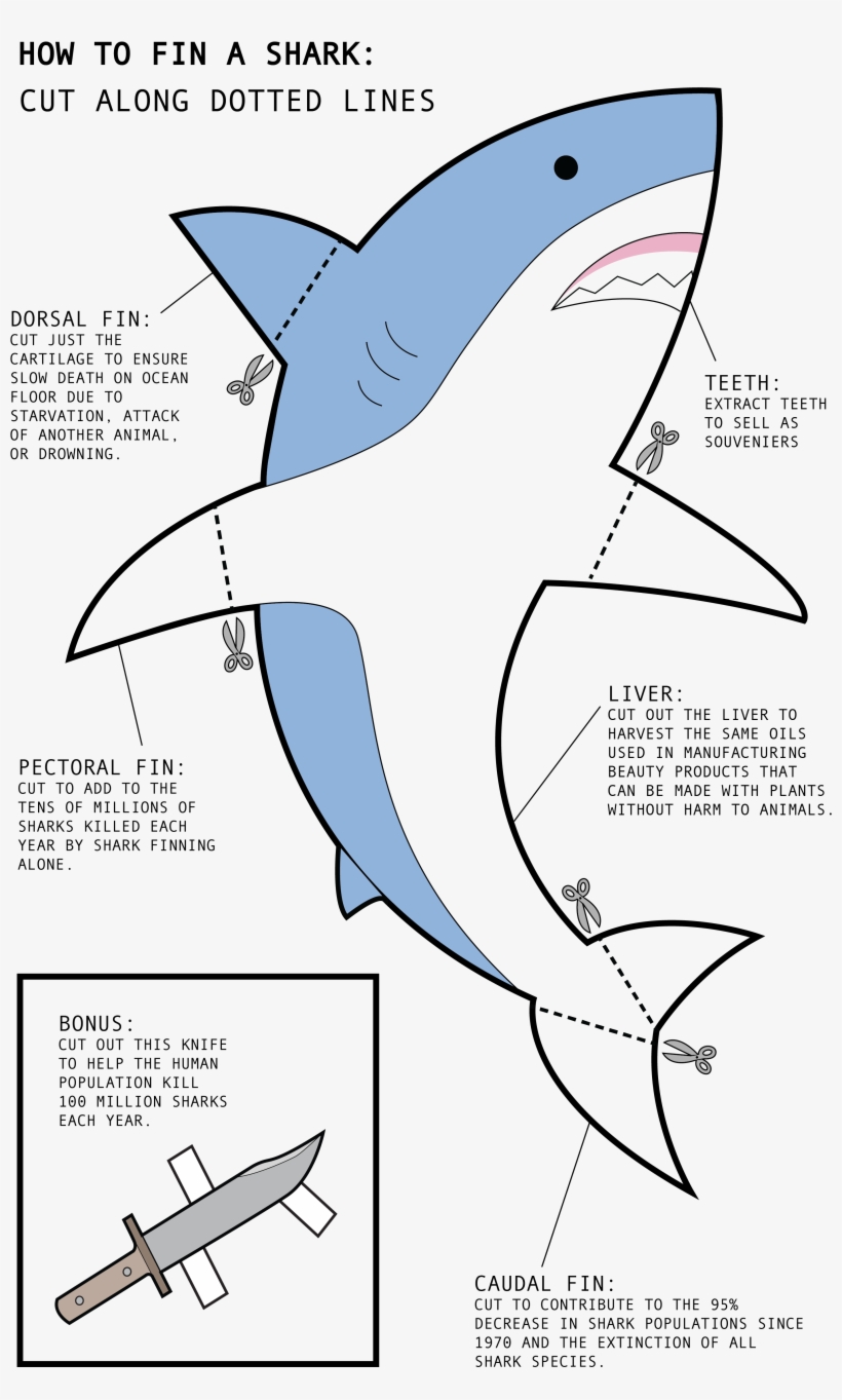 Great White Shark, transparent png #1200481