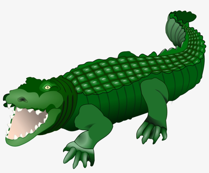 Alligator - Crocodile Clipart Png, transparent png #1200544
