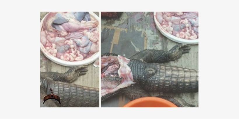 Lagos, transparent png #1201109