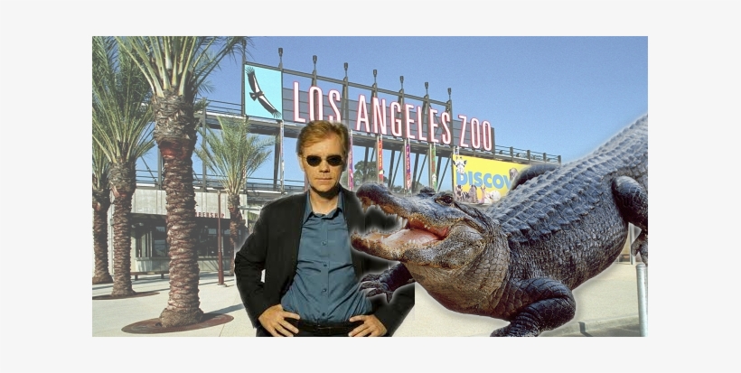 Los Angeles Zoo, transparent png #1201231