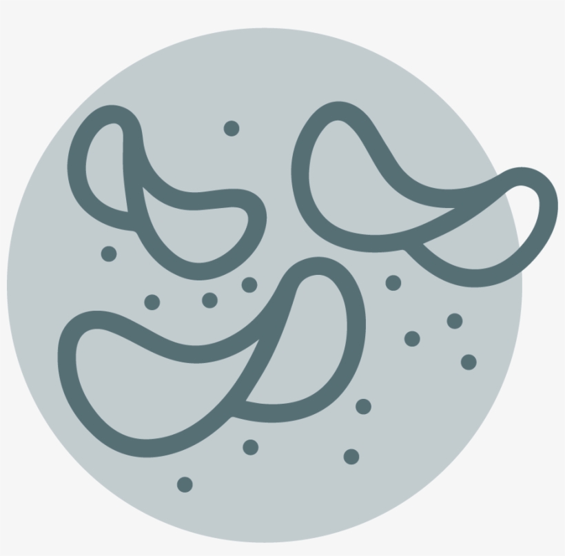 Chips Coupons - Circle, transparent png #1201290