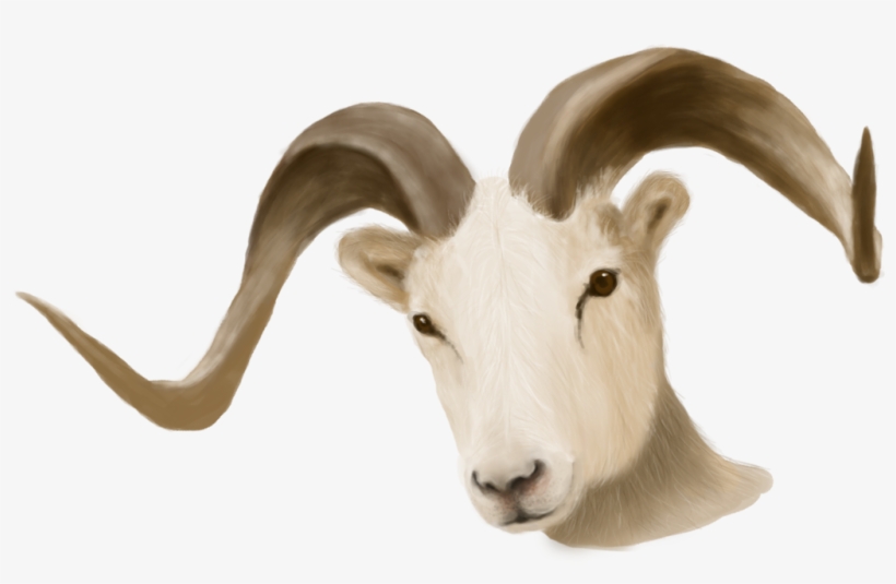 ram png animal ram animal transparent background free transparent png download pngkey ram png animal ram animal transparent