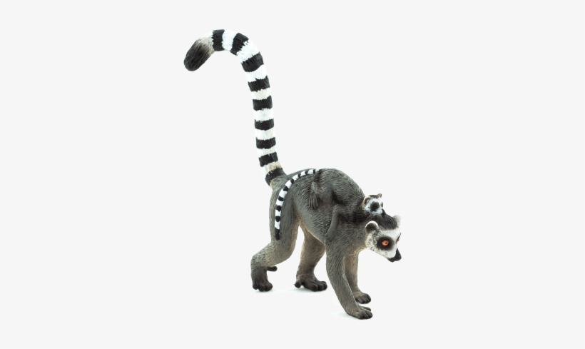 Mojo Lemur, transparent png #1202616