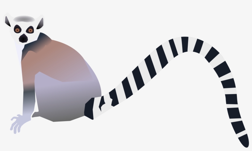 This Free Icons Png Design Of Lemur, transparent png #1202658
