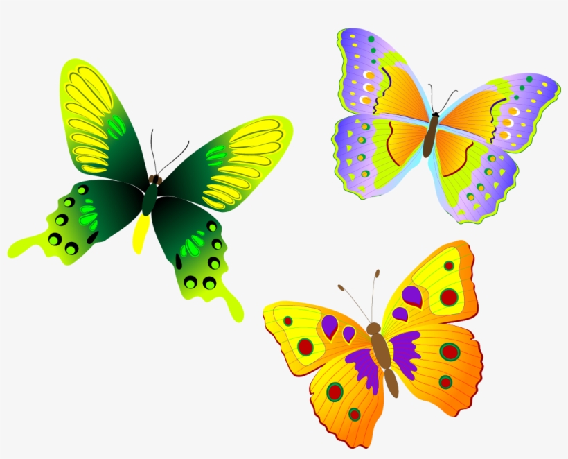 Monarch Butterfly Euclidean Vector - Png Butterfly Vector, transparent png #1202816