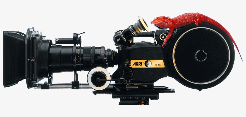 Red Lizard Films - Film, transparent png #1202912