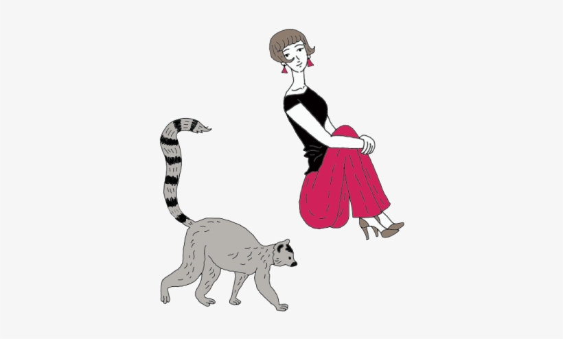 Lemur - Animal, transparent png #1202938