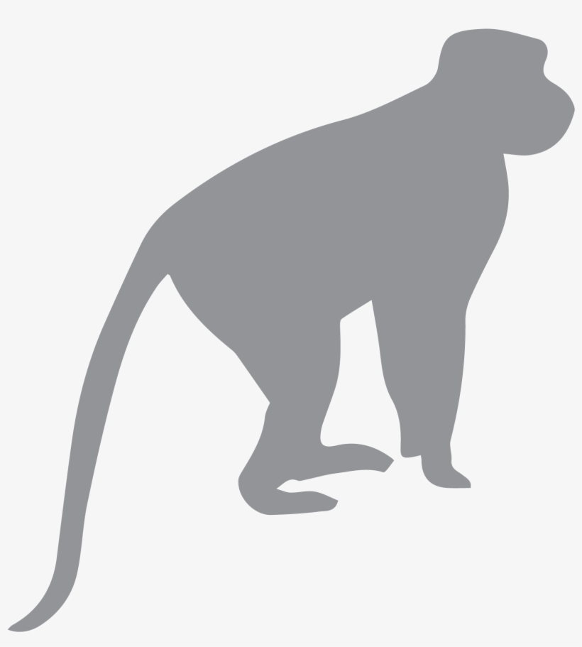 Install Rope Or Pole Bridges Primate Conservation - Monkey Silhouette, transparent png #1203093