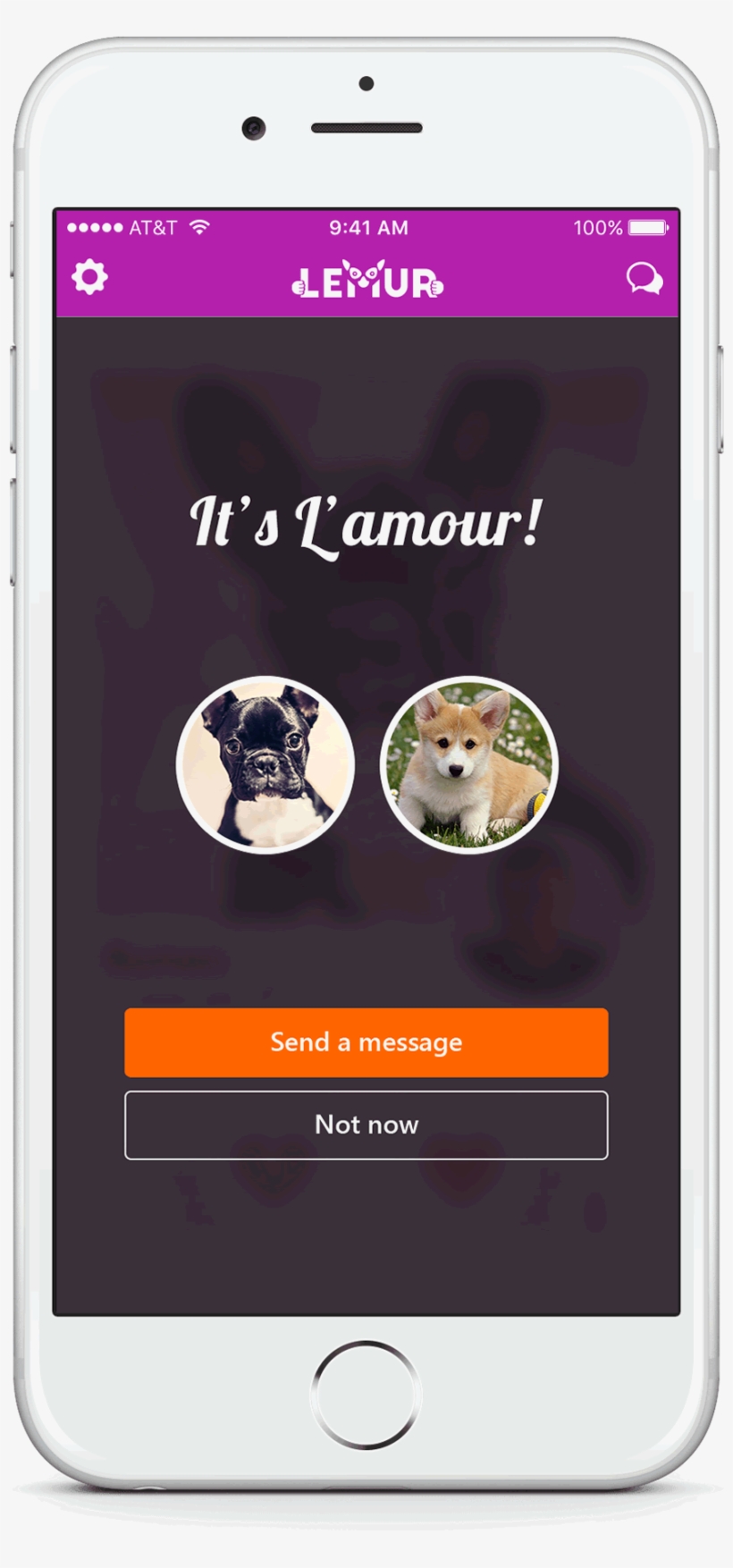 Lemur - Korgi, transparent png #1203141