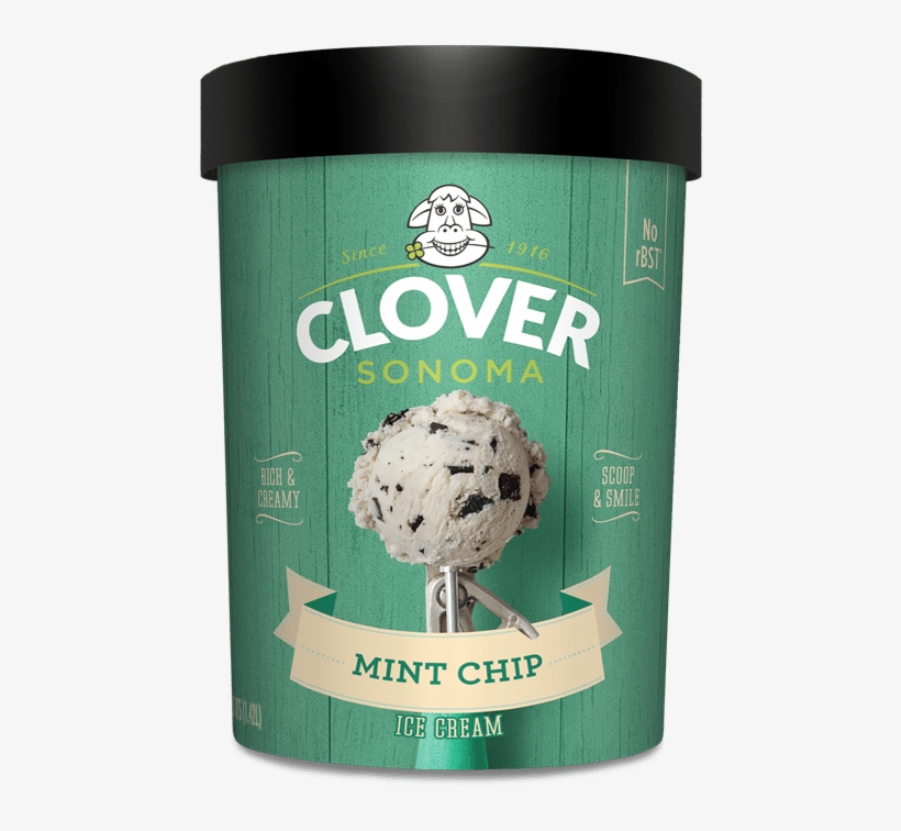 Mint Chocolate Chip - Clover Sonoma Ice Cream, transparent png #1203184