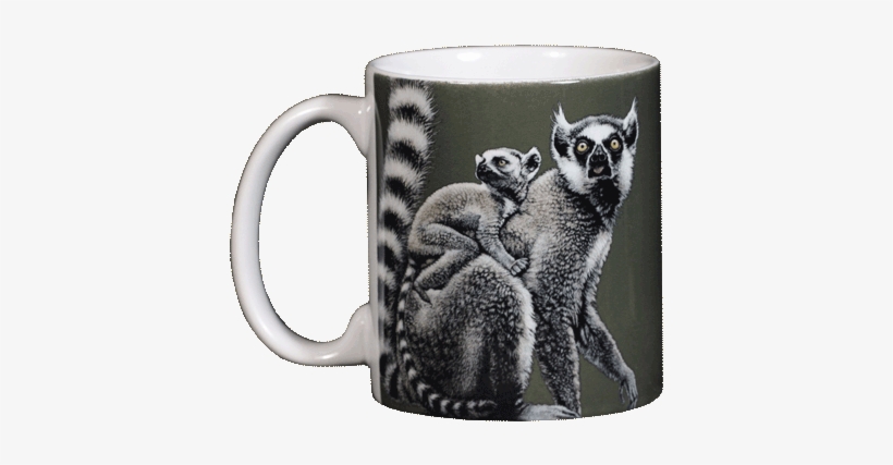 Ring-tailed Lemurs Ceramic Mug - Ceramic, transparent png #1203275